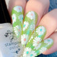 Crazy for Daisies (CjS-385) Etched Nail Art Stamping Plate