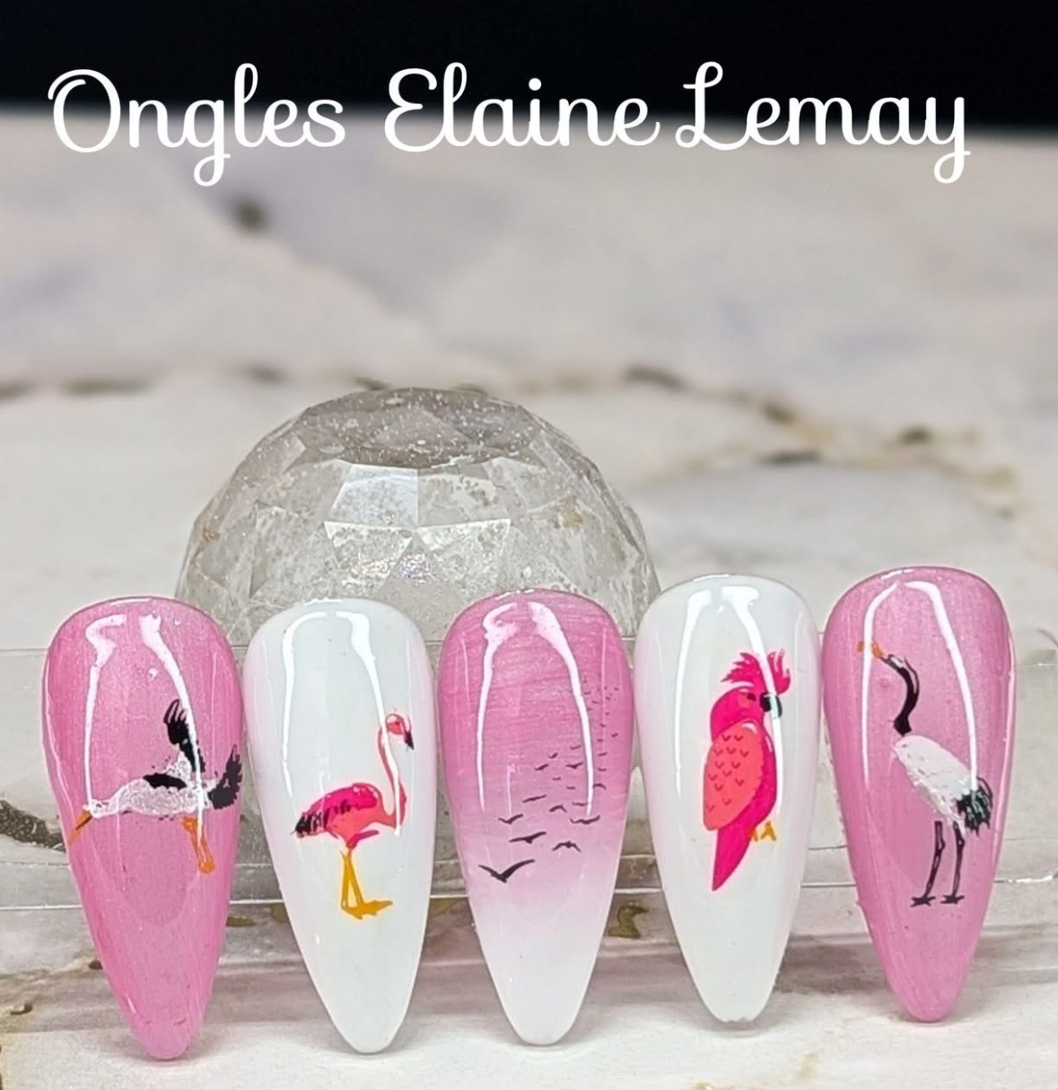 Talk Birdy To Me (CjSLC-103) Etched Nail Art Stamping Plate