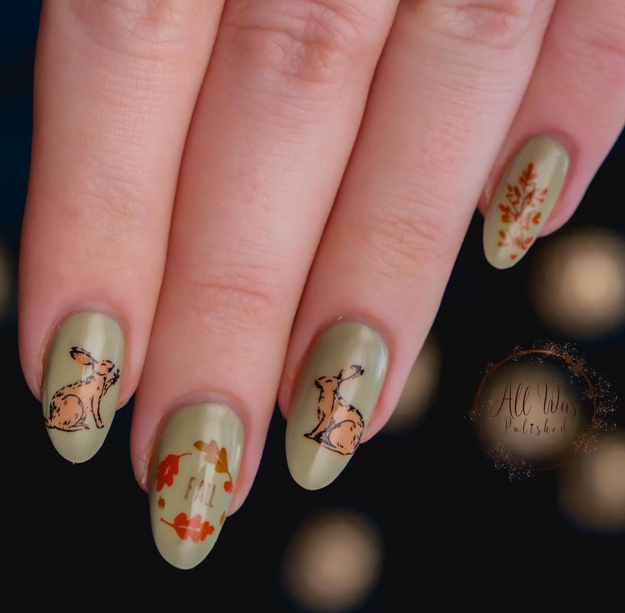 Autumn Acorns (CjS-148) Etched Nail Art Stamping Plate