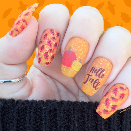 Autumn Acorns (CjS-148) Steel Layered Nail Art Stamping Plate