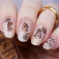 The Nude Series -  Dare to Bare (CjS-195) Steel Nail Art Layered Stamping Plate