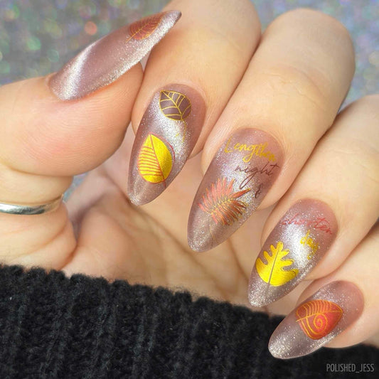 Lengthen Night and Shorten Day (CjS-271) Steel Nail Art Layered Stamping Plate