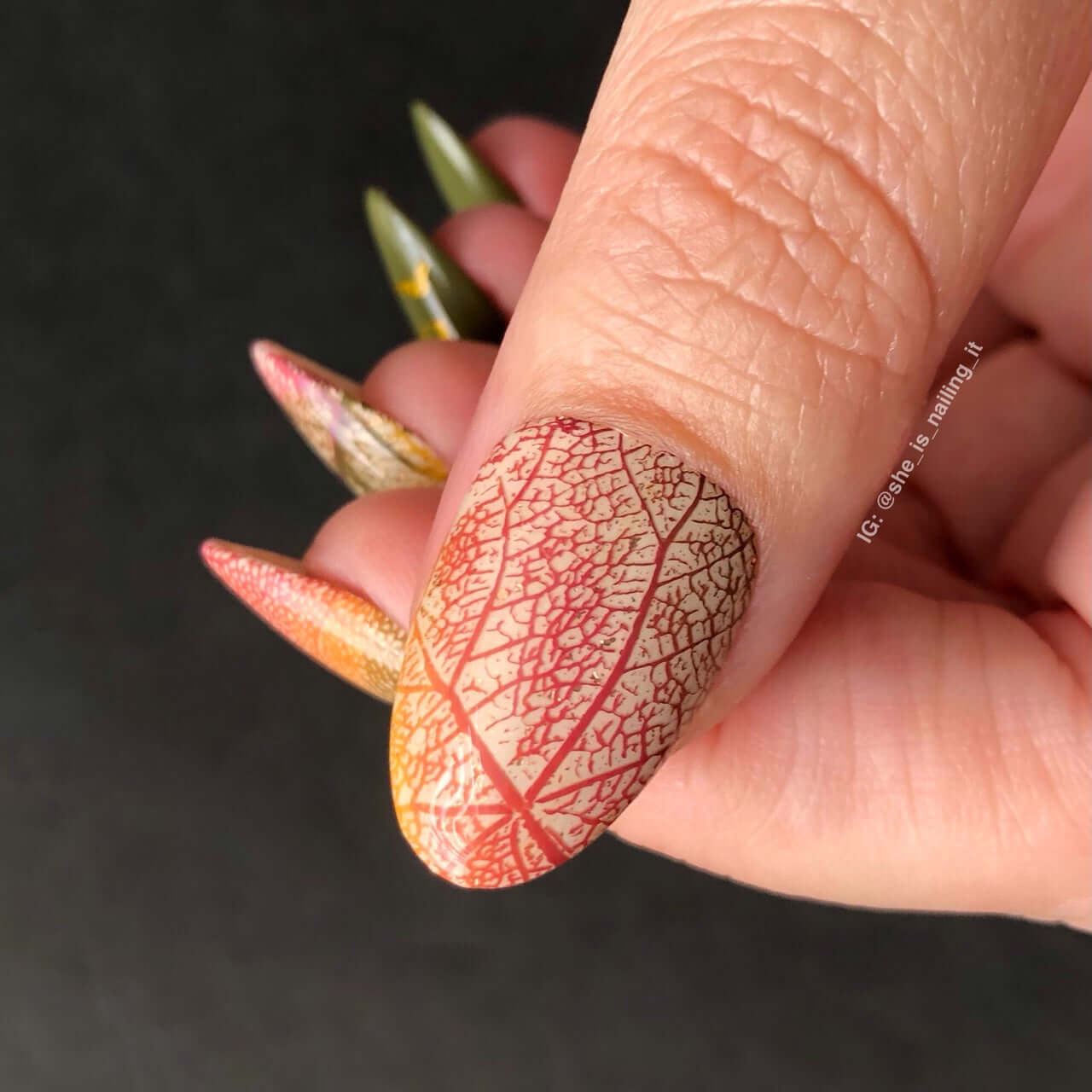 single-manicured-nail-showing-nail-art-design-of-leaf-vein-and-texture