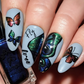 beautiful-manicure-with-nail-art-showing-butterfly-designs-and-the-words-fly-free