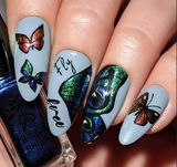beautiful-manicure-with-nail-art-showing-butterfly-designs-and-the-words-fly-free