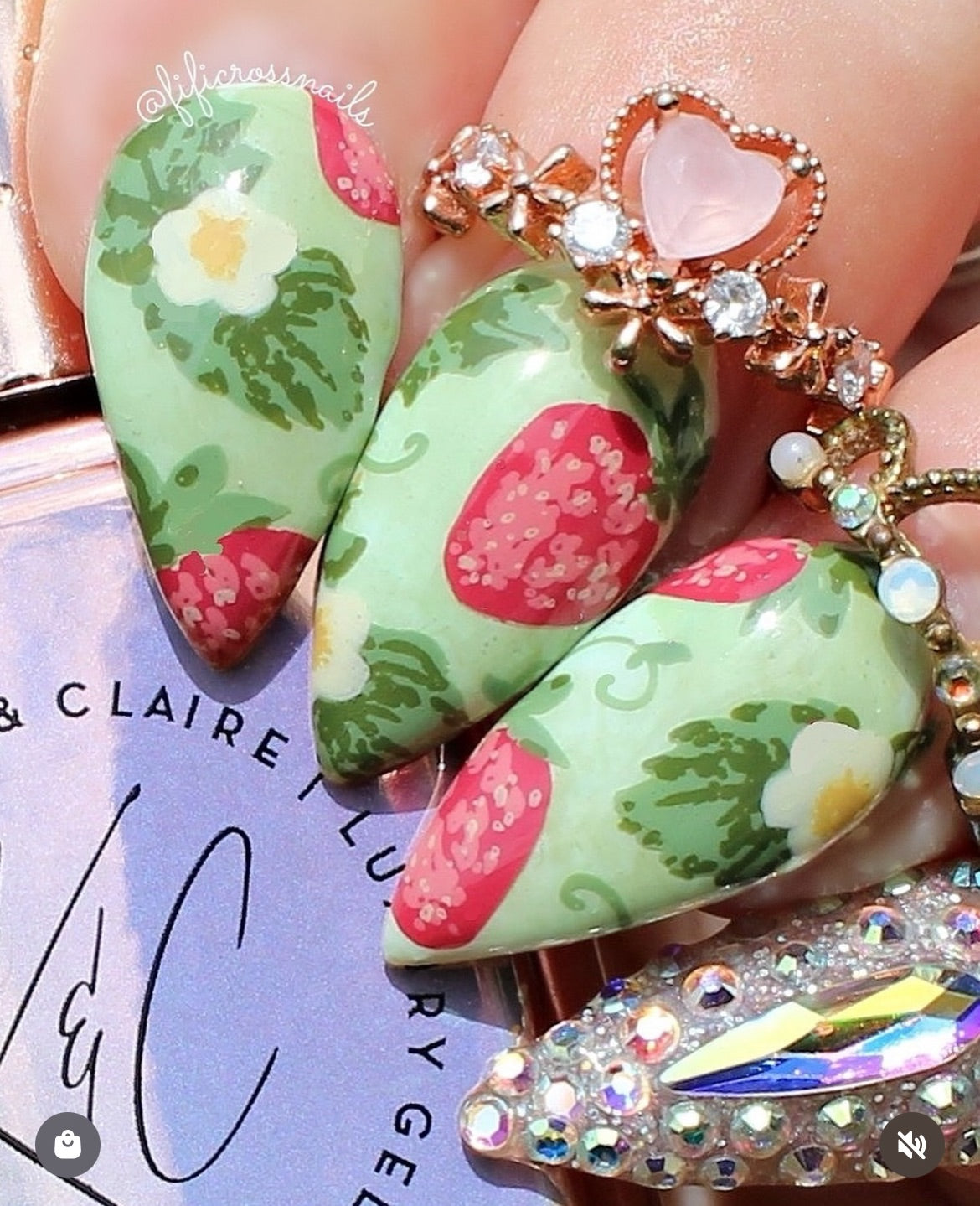 Strawberry Sweetness (CjS-351) Steel Nail Art Layered Stamping Plate