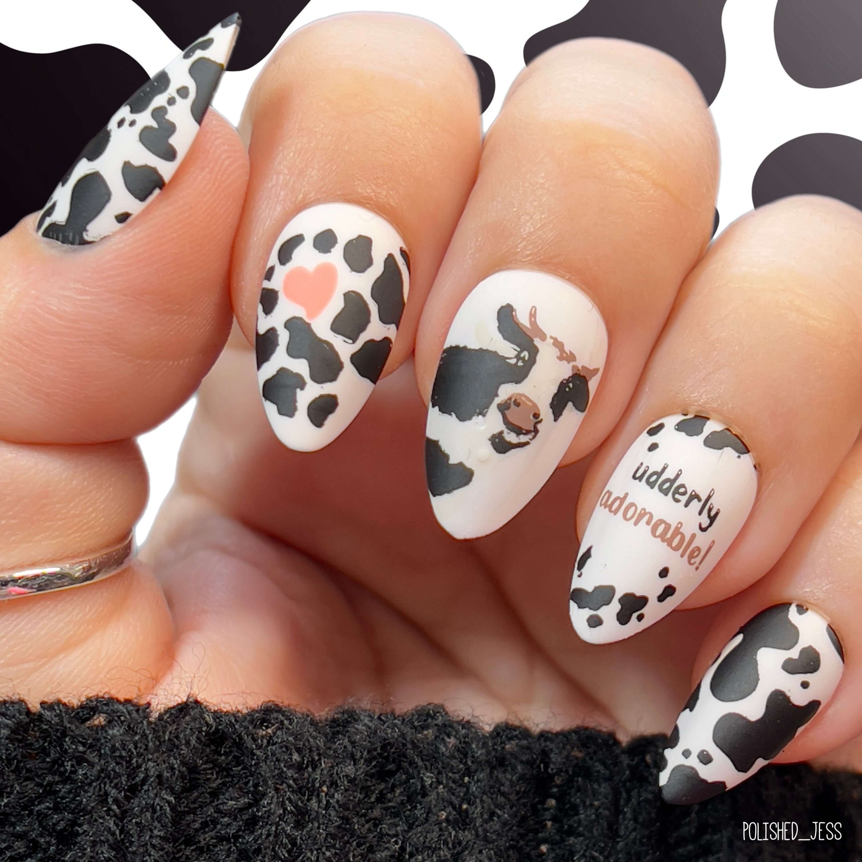 striking-manciure-with-nail-art-designs-of-cow-print-a-cow-and-words-udderly-adorable