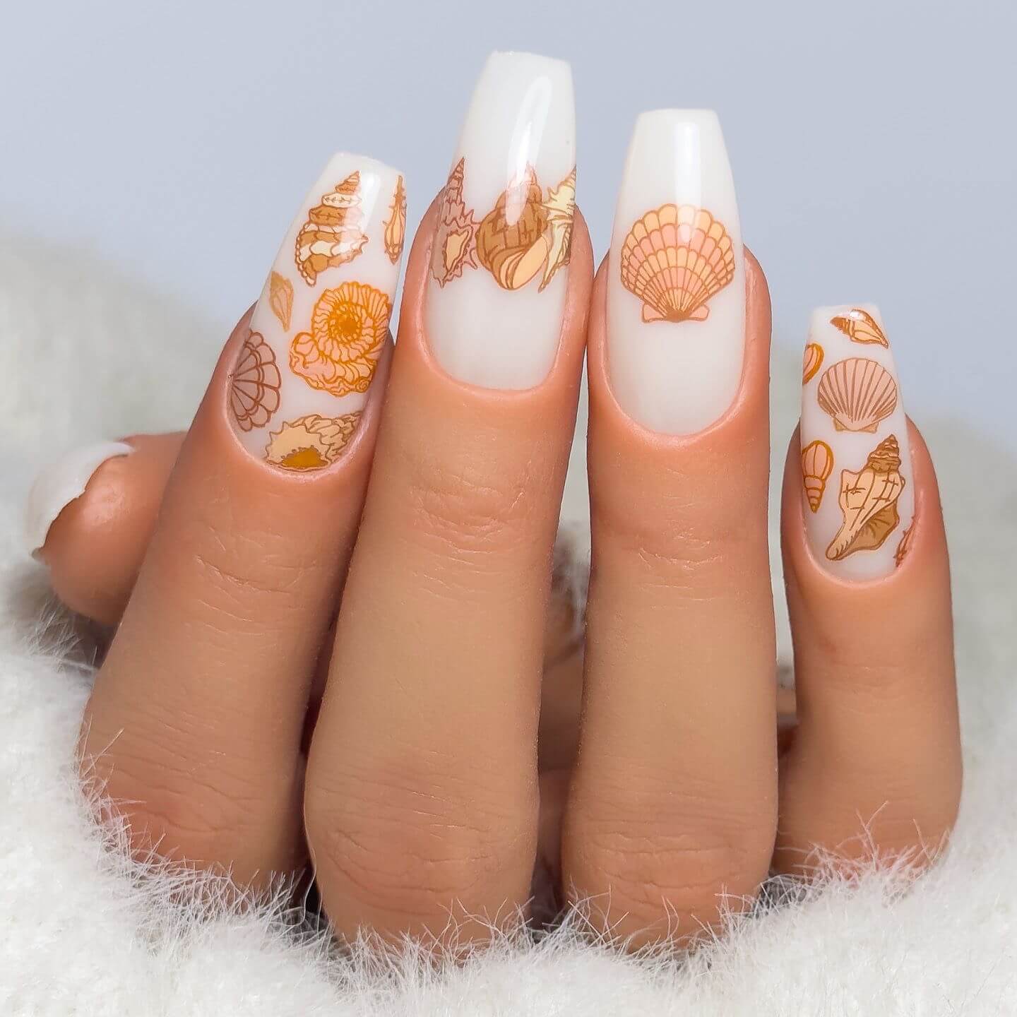 beautiful-manicure-with-beachy-seashells-nail-art-design-on-white-background-nails