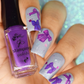 Pretty Little Bows (CjS-377) Steel Nail Art Layered Stamping Plate