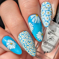 Crazy for Daisies (CjS-385) Steel Nail Art Layered Stamping Plate