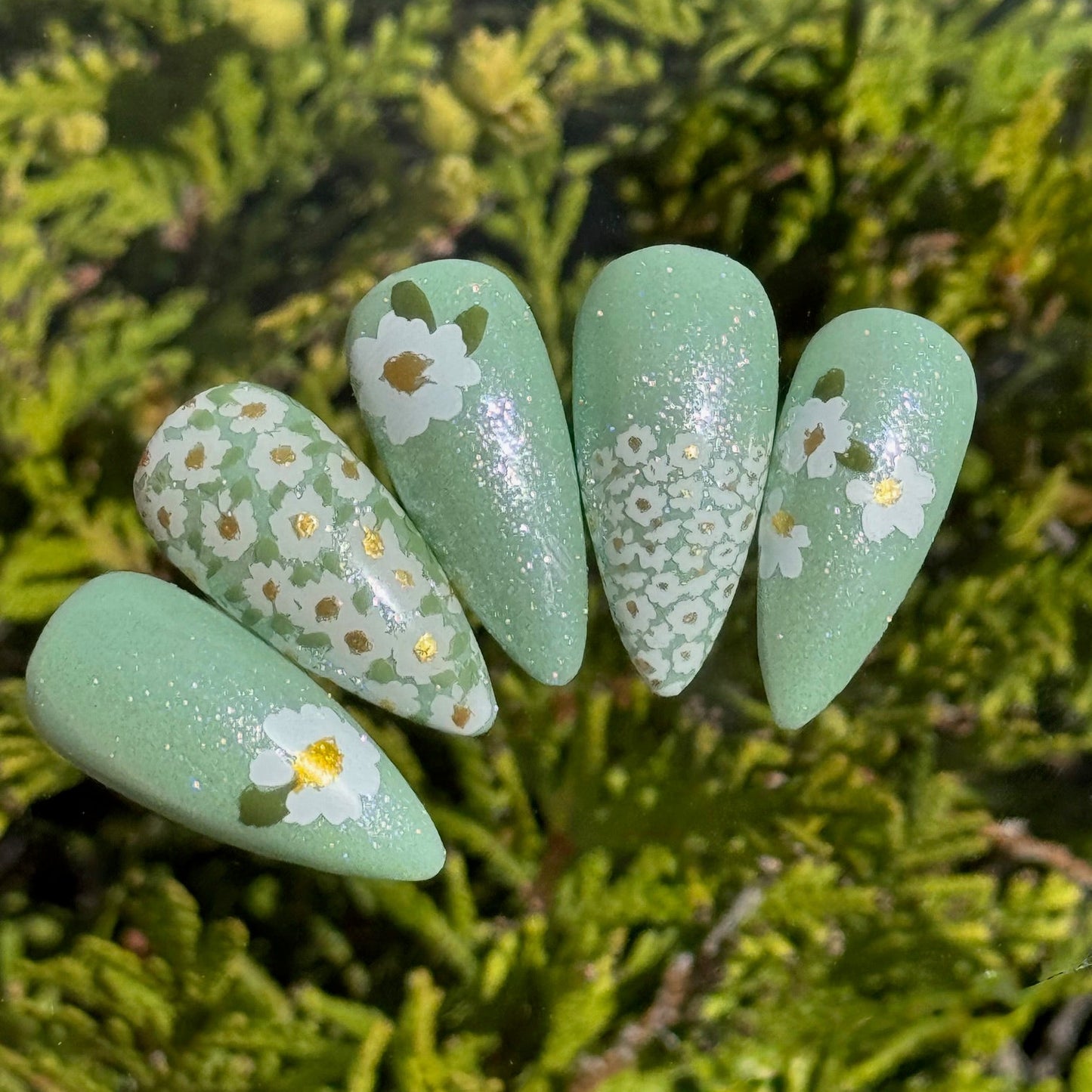 Crazy for Daisies (CjS-385) Steel Nail Art Layered Stamping Plate