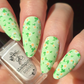 Crazy for Daisies (CjS-385) Etched Nail Art Stamping Plate