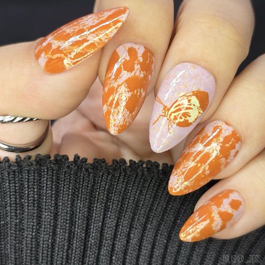 Fur-ever Flutter (CjS-387) Steel Nail Art Layered Stamping Plate