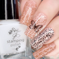 Wild Wings (CjS-392) Etched Nail Art Stamping Plate