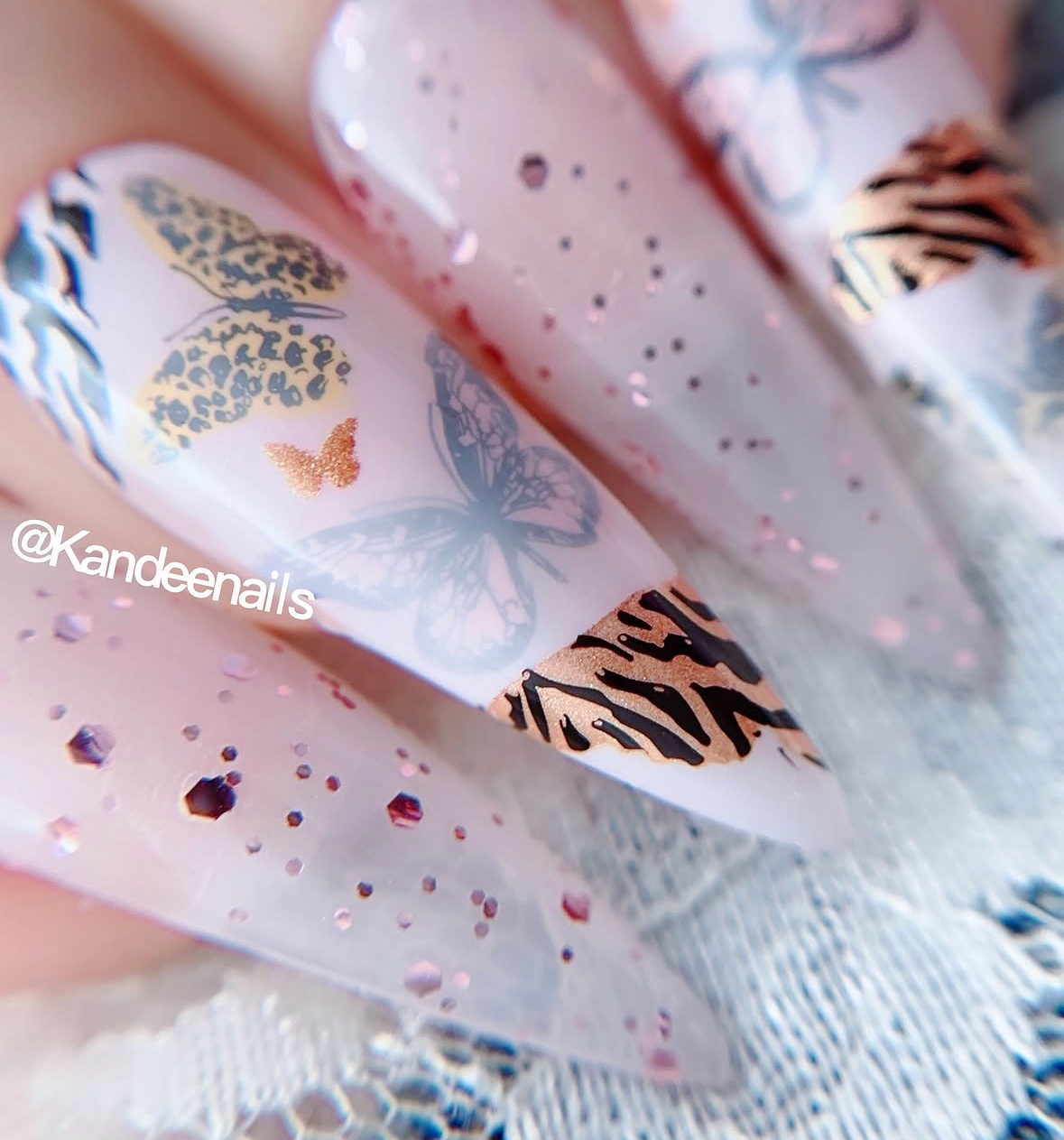 Wild Wings (CjS-392) Etched Nail Art Stamping Plate