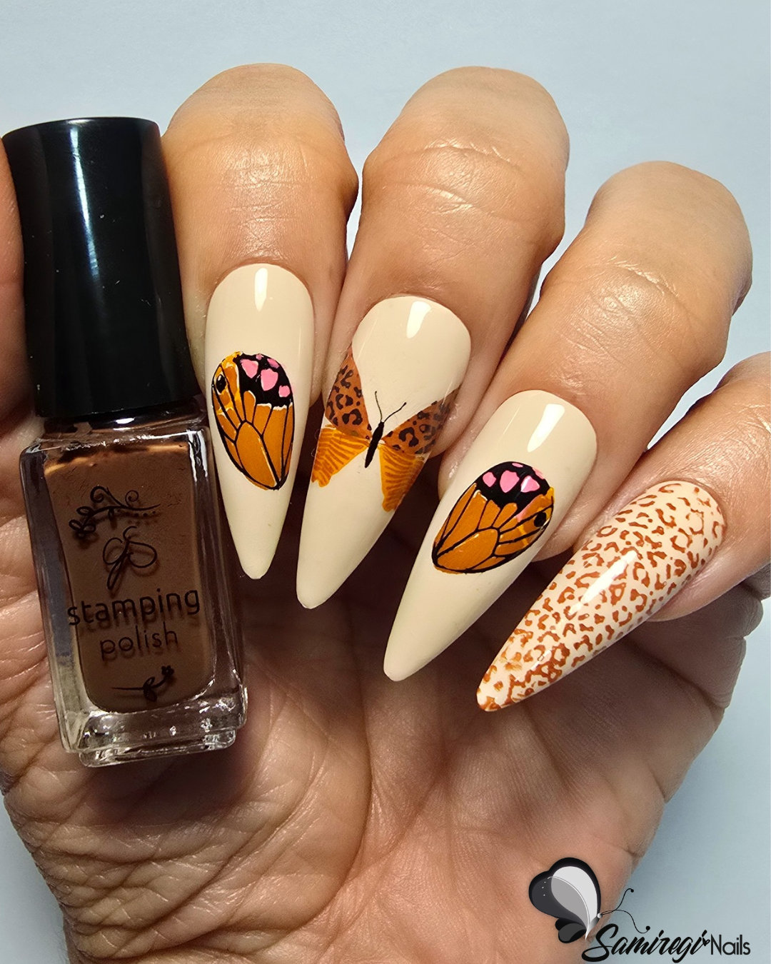 Wild Wings (CjS-392) Etched Nail Art Stamping Plate