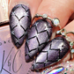 Low Light Lounge (CjS-398) Etched Nail Art Stamping Plate