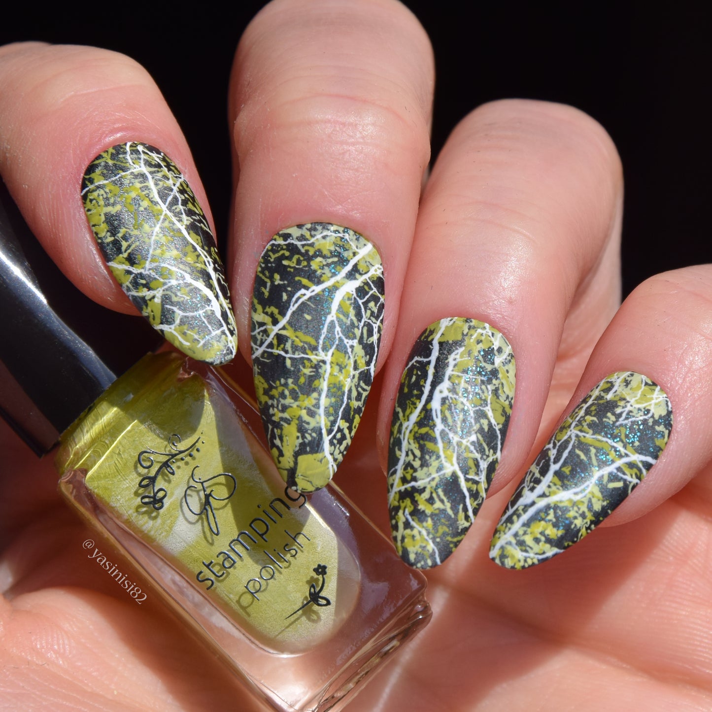Marble Crush (CjS-405) Etched Nail Art Stamping Plate