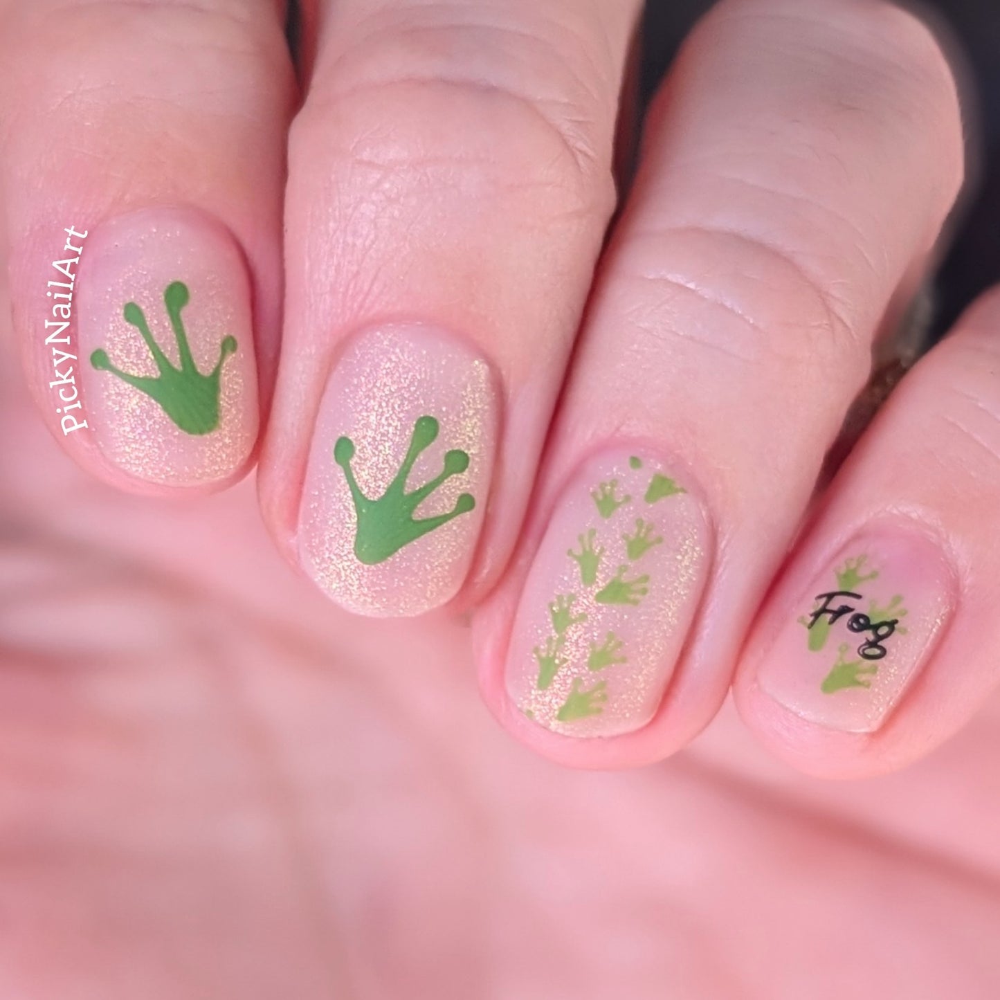 Paw-Sibilities (CjS-406) Etched Nail Art Stamping Plate
