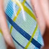 Got Plaid?  CjS-56  Steel Nail Art Stamping Plate