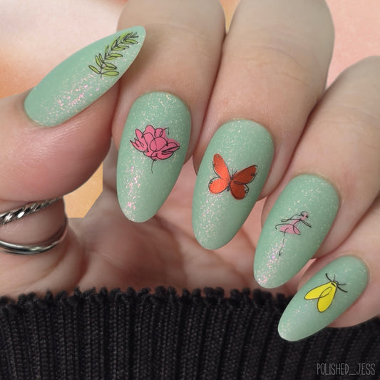 Beginner Edition (CjS-B-FIVE) Steel Nail Art Stamping Plate