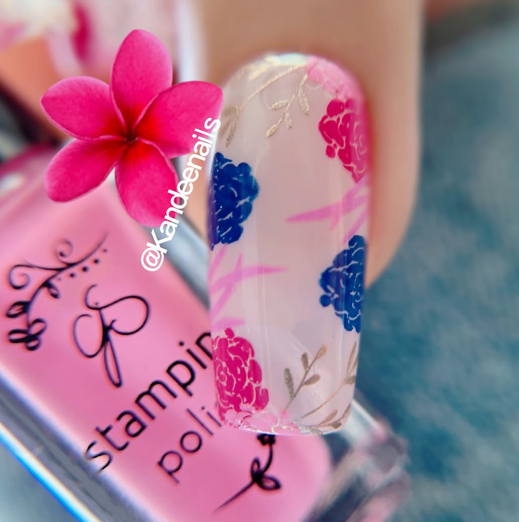 Beginner Edition (CjS-B-SIX) Etched Nail Art Stamping Plate