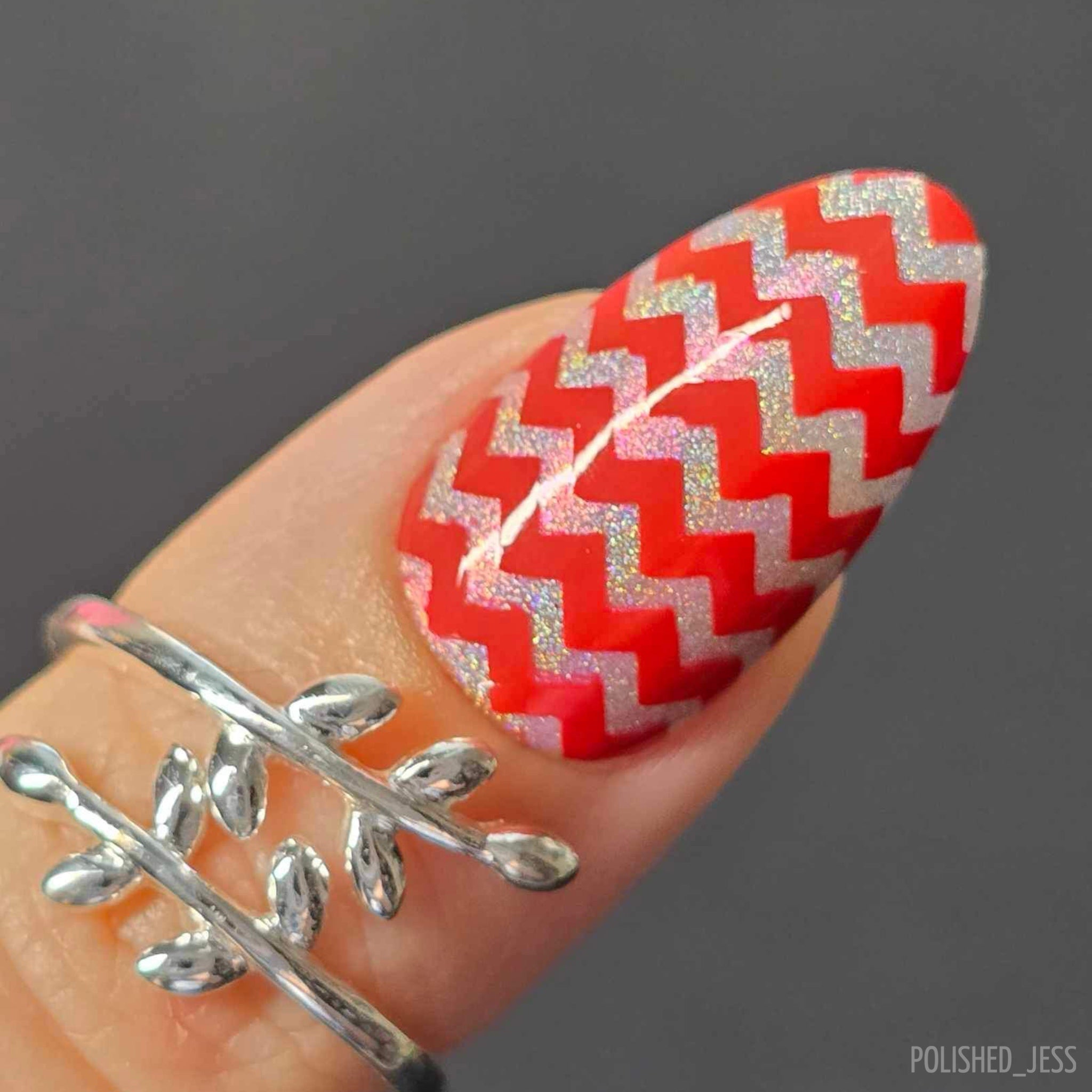 Pretty Paper - Deck the Halls (CjSC-41) Steel Nail Art Stamping Plate