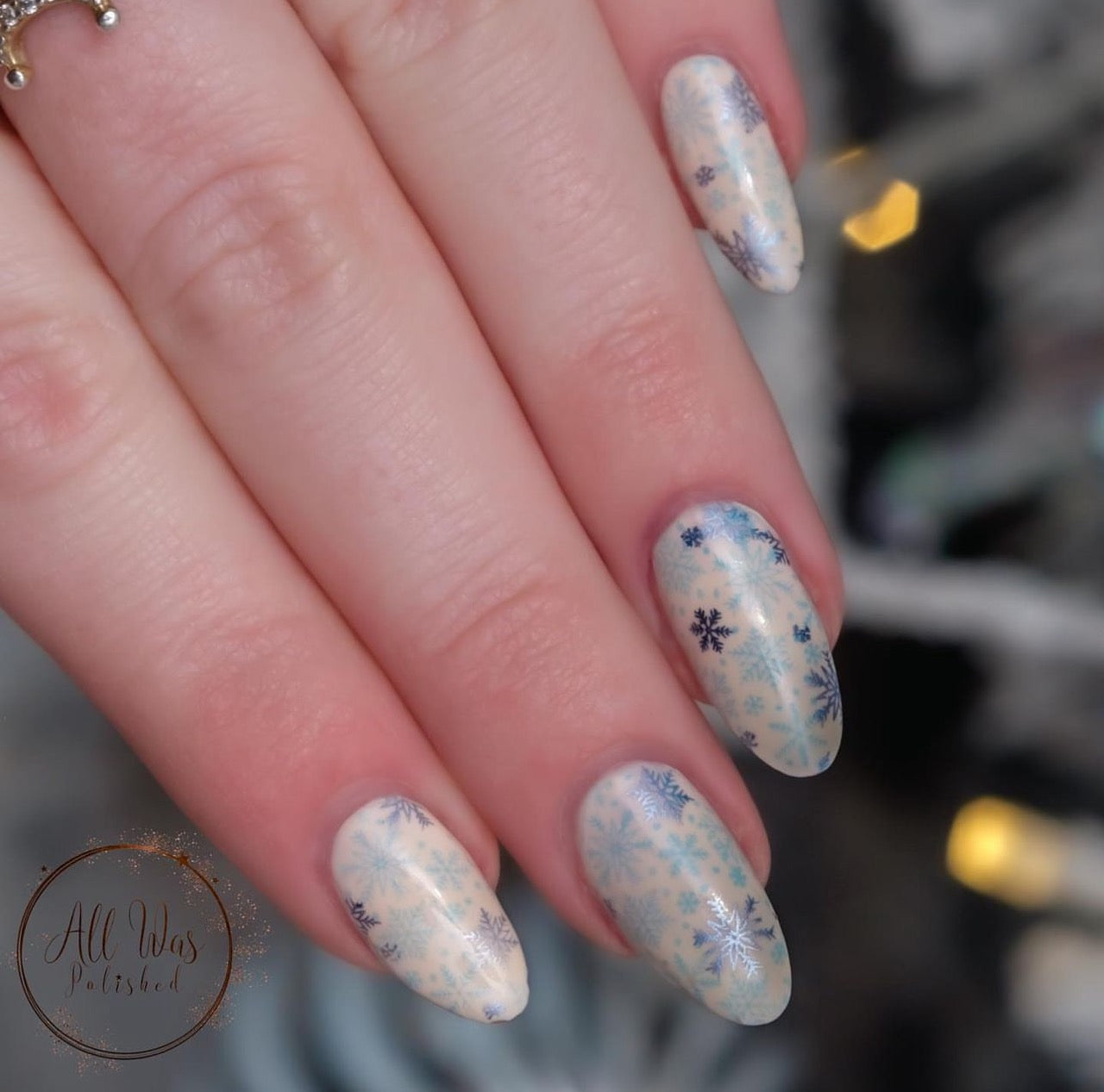 Christmas in the Park (CjSC-49) Steel Nail Art Stamping Plate