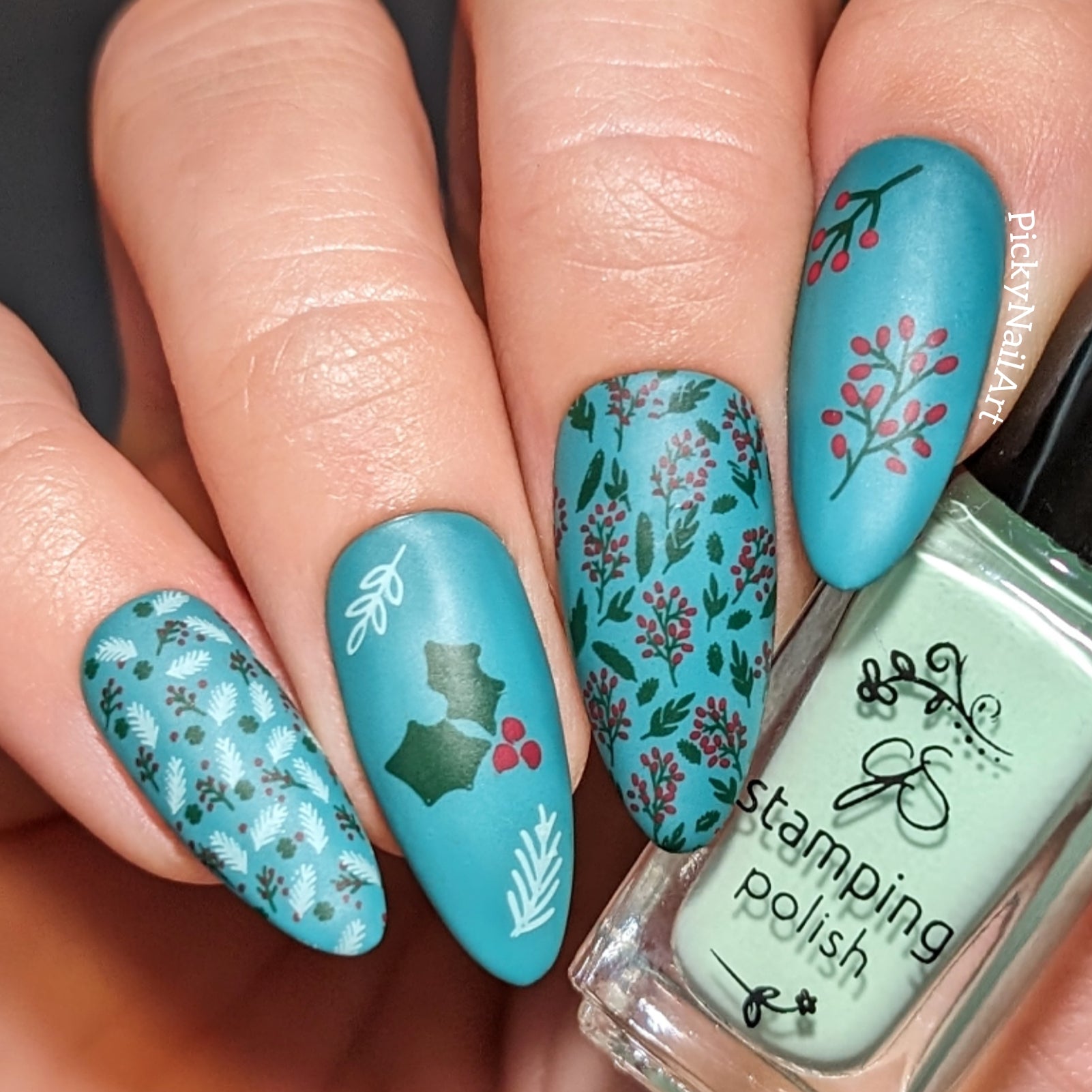 Pretty Paper - Festive (CjSC-78) Steel Nail Art Layered Stamping Plate