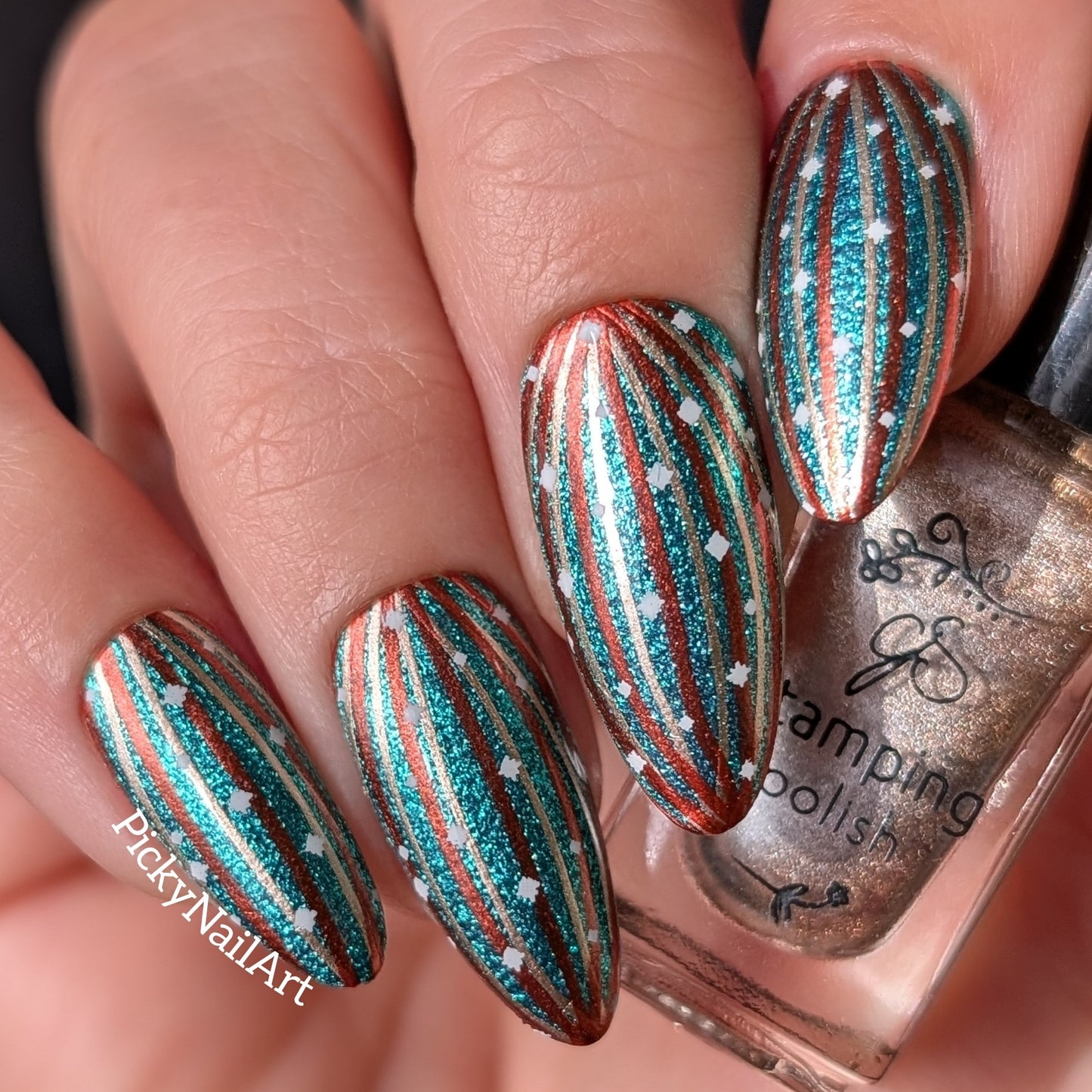 Vintage Chic Christmas (CjSC-96) Etched Nail Art Stamping Plate