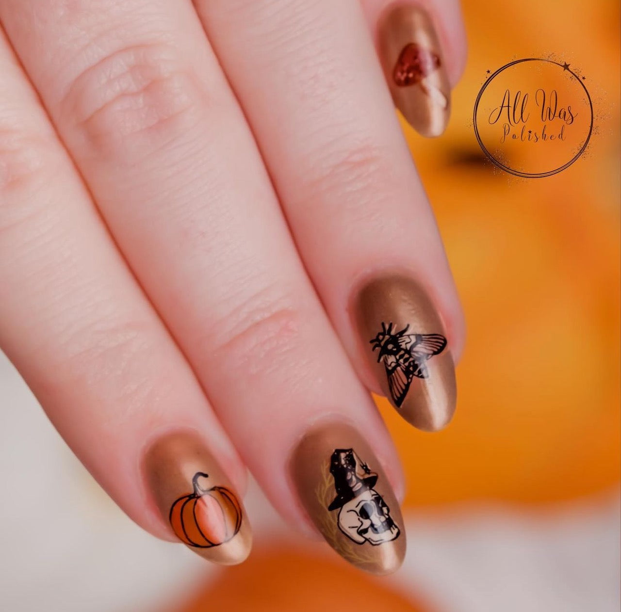 Boho Halloween (CjSH-74) Steel Nail Art Stamping Plate