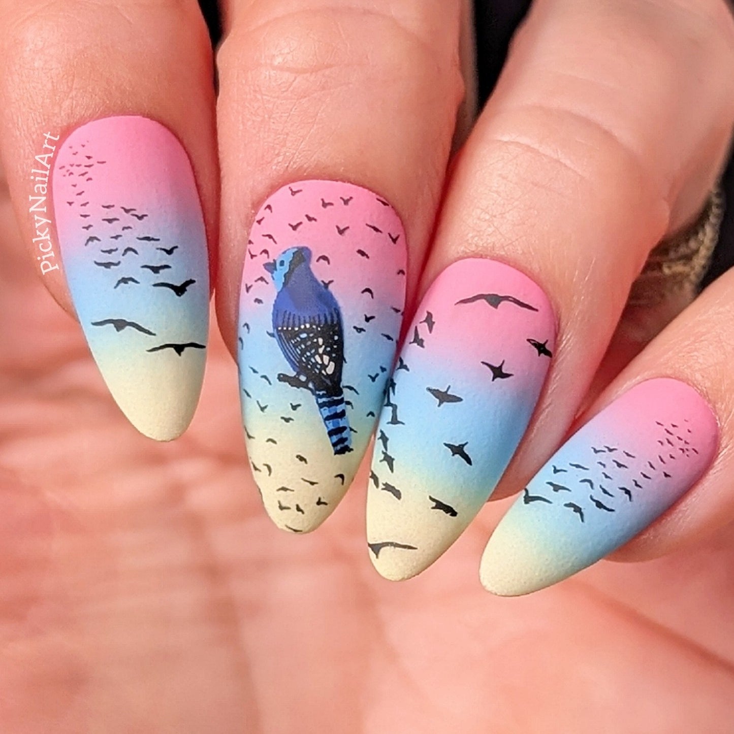 Talk Birdy To Me (CjSLC-103) Etched Nail Art Stamping Plate