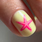 Treasures of the Sea (CjSLC-11) - Steel Nail Art Stamping Plate