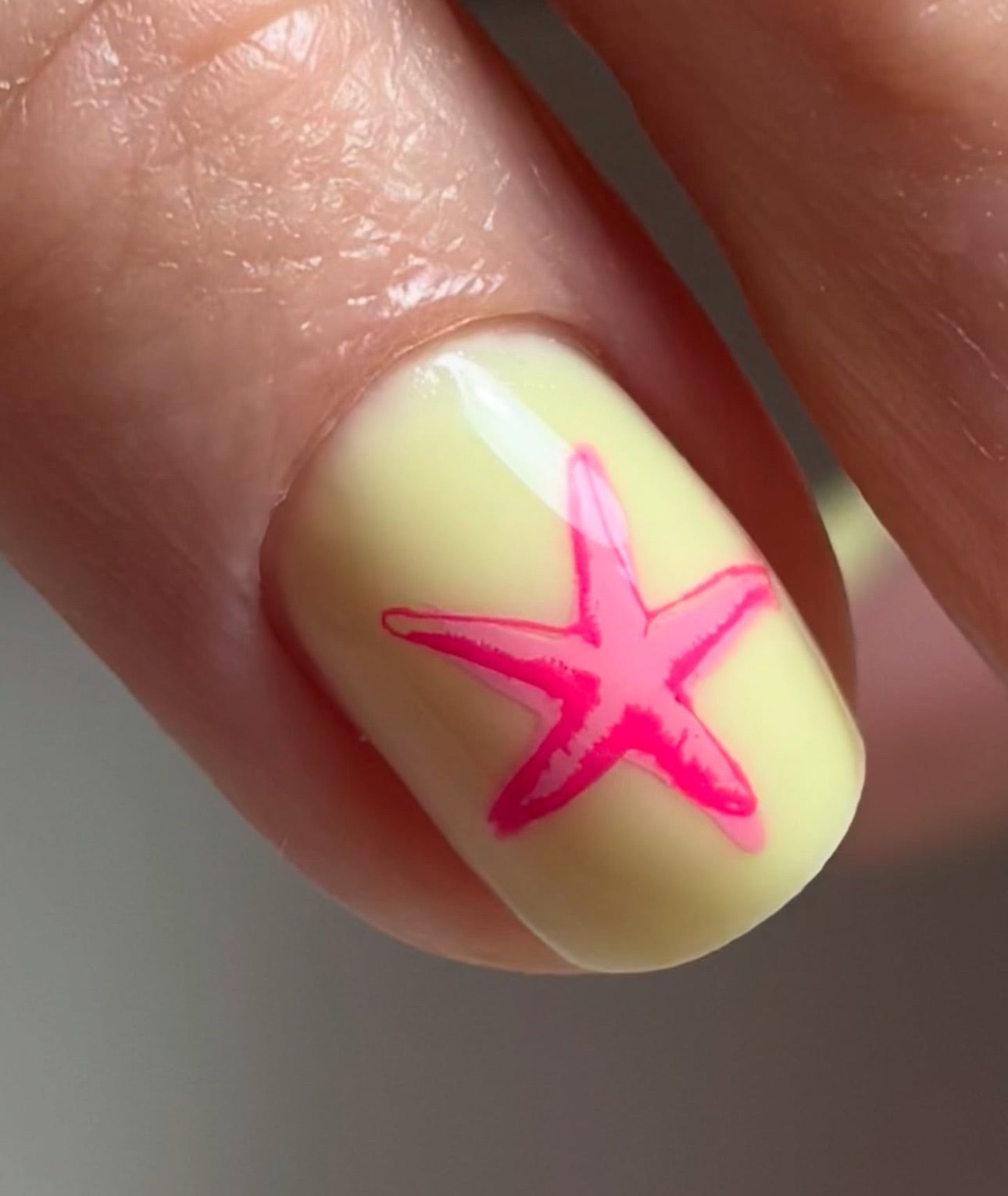 Treasures of the Sea (CjSLC-11) - Steel Nail Art Stamping Plate