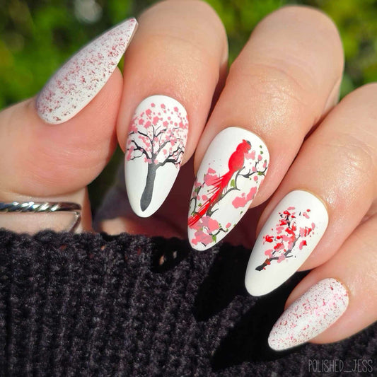 Sakura (CjSLC-69) Etched Nail Art Stamping Plate