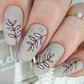 Sketched Art by @barbrafeszyn (CjSLC-78) Steel Nail Art  Stamping Plate