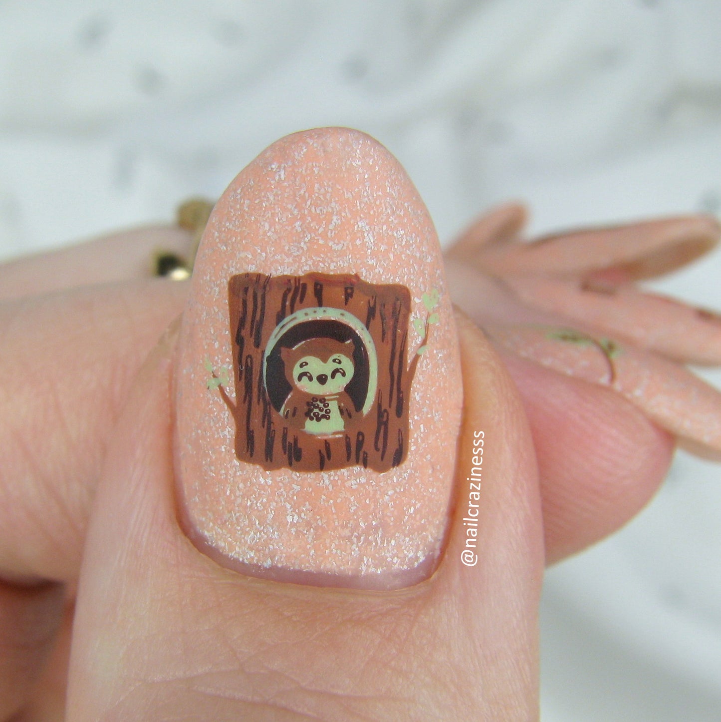 Owl is Good (CjSLC-96) Etched Nail Art Stamping Plate