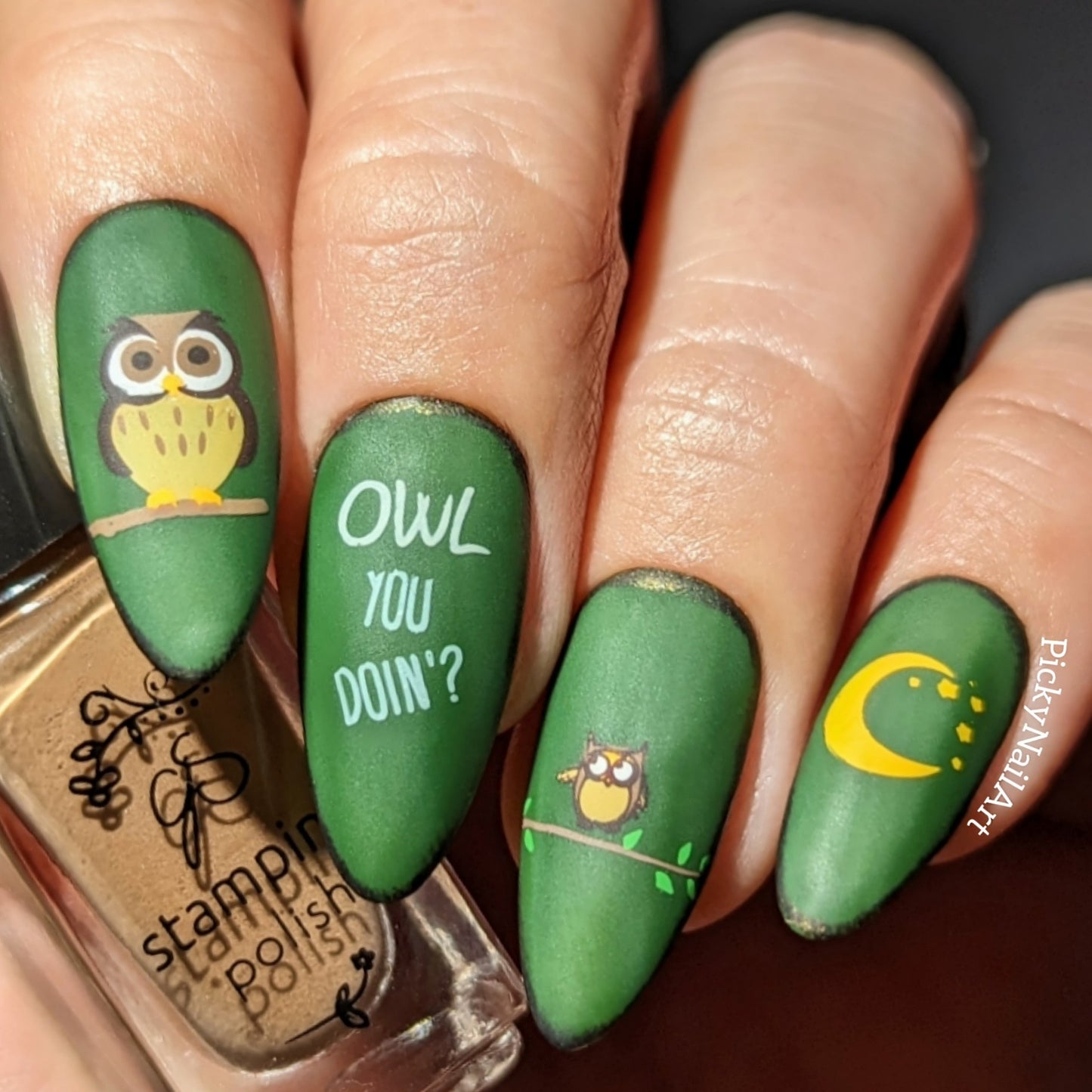 Owl is Good (CjSLC-96) Etched Nail Art Stamping Plate