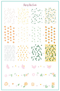 Crazy for Daisies (CjS-385) Steel Nail Art Layered Stamping Plate