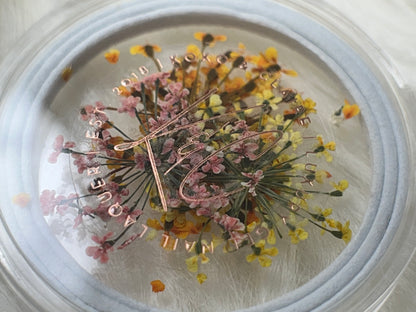 KoKo & Claire Dried Flowers