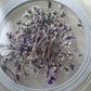 KoKo & Claire Dried Flowers