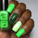 #12 Glee Tree Green - Nail Stamping Color (5 Free Formula) Polish Clear Jelly Stamper 