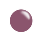 #171 Muted Plum - Nail Stamping Color (5 Free Formula)
