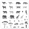 Out of Africa (CjS-15) - Steel Nail Art Stamping Plate 6x6 Clear Jelly Stamper 