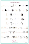 Celestial Zoo (CjS-225) Steel Nail Art Stamping Plate