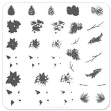 Pines and Poinsettias (CjSC-08) - Steel Nail Art Stamping Plate 6x6 Clear Jelly Stamper 