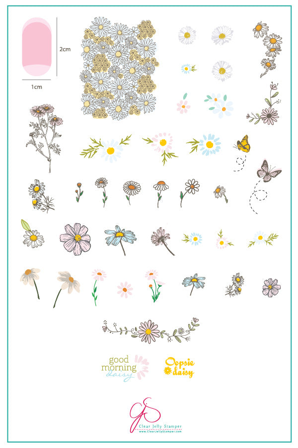 I Dream of Daisies (CjS-104) Steel Nail Art Stamping Plate 14 x 9 Clear Jelly Stamper 