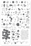I Dream of Daisies (CjS-104) Steel Nail Art Stamping Plate 14 x 9 Clear Jelly Stamper 