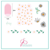 Beginner Collection - Daisies  (FREE 6*6 pink pouch with purchase!)