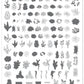 Oh So Succulent! (CjS-123) Steel Nail Art Stamping Plate 14 x 9 Clear Jelly Stamper 